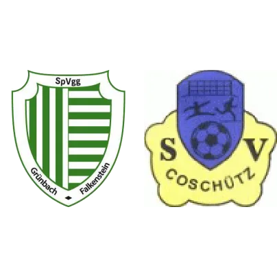 (C) Grünbach-Falkenstein <span class="nowrap bold mx-1">9 : 2</span> SpG Coschütz