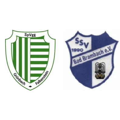 (1M) Grünbach-Falkenstein <span class="nowrap bold mx-1">2 : 0</span> SSV Bad Brambach