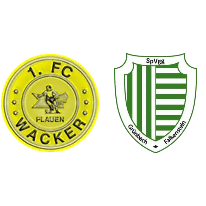 (D) 1.FC Wacker Plauen III <span class="nowrap bold mx-1">2 : 5</span> Grünbach-Falkenstein