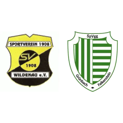 (1M) SV 1908 Wildenau <span class="nowrap bold mx-1">1 : 5</span> Grünbach-Falkenstein