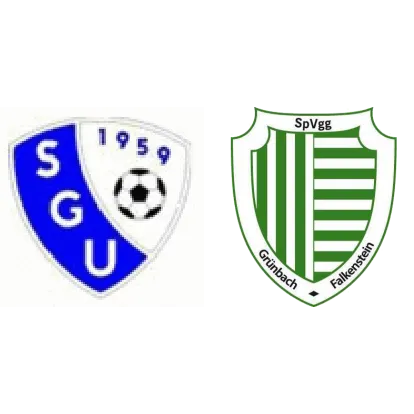 (D) SpG Unterlosa <span class="nowrap bold mx-1">4 : 1</span> Grünbach-Falkenstein
