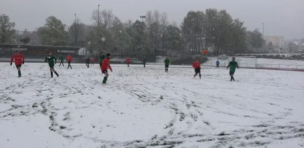 04.05.2019 Grünbach-Falkenstein III vs. SpG Tirpersdorf