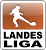 Highlight in der Vorbereitung - Landesligist zu Gast!