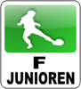 Vorrunde Hallenpokal 2013 der F-Junioren